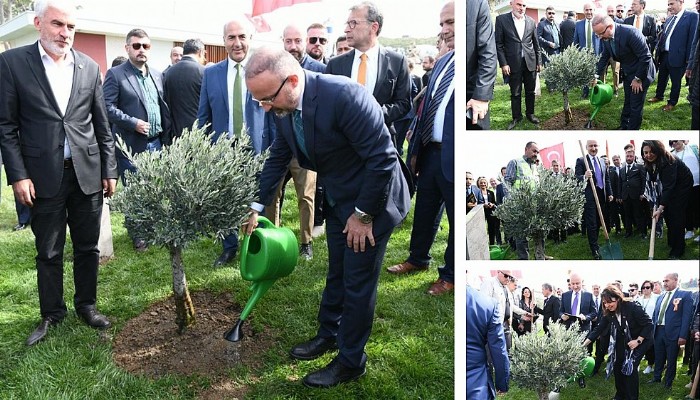 Çanakkale’de Toprakla Buluşan Fidan Sayısı 100 Milyonun Üzerinde