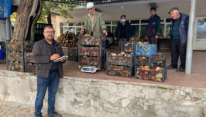 Kazdağları'nda Ayı Mantarı Zamanı