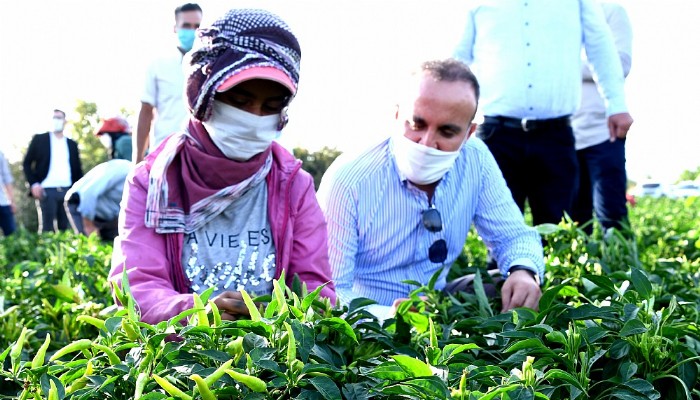 “Çiftçilerimiz Emeği ve Alın Terini Toprakla Buluşturuyor”