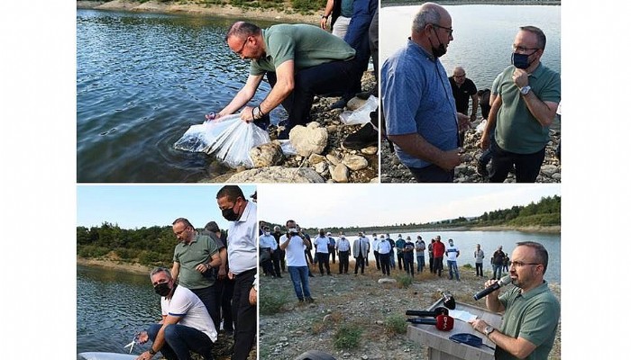 Çanakkale Göletlerine 400 Bin Yavru Balık