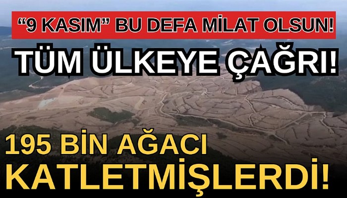 Kaz Dağları'nda yeniden mücadele başlıyor